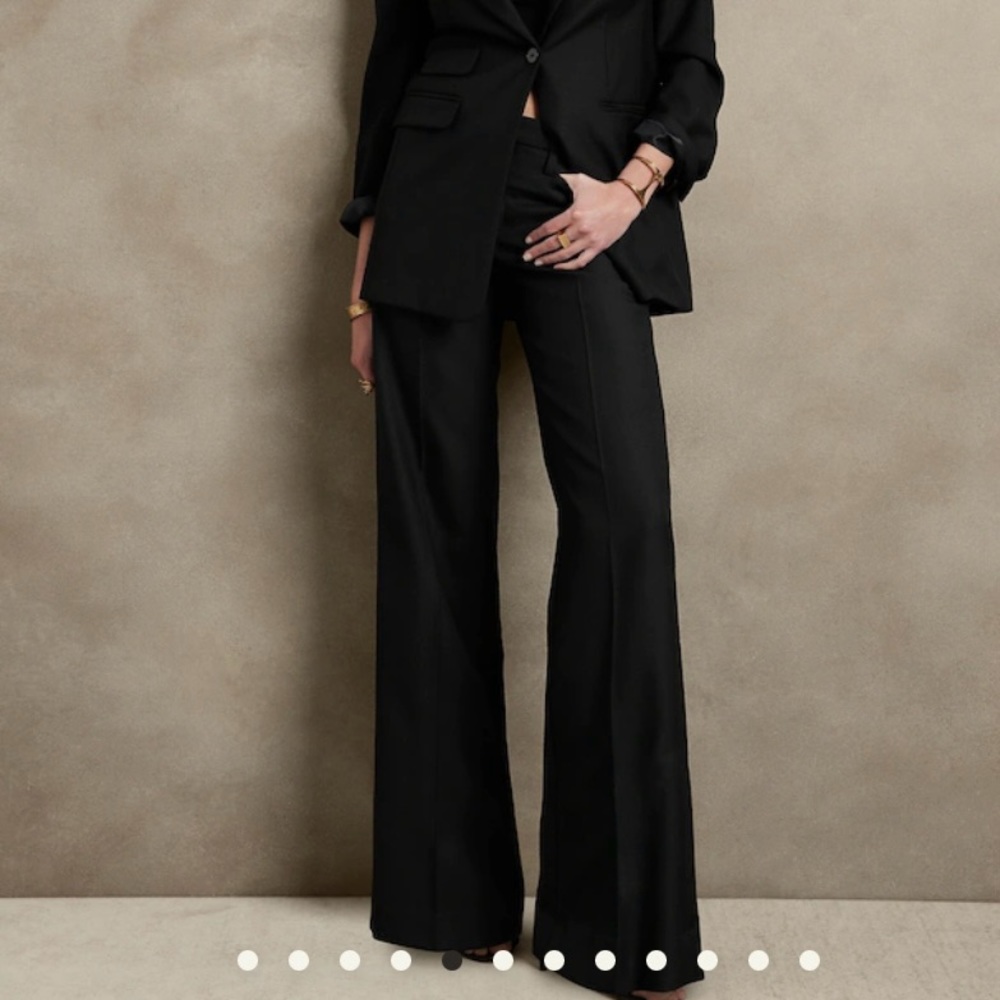 Banana Republic Wool Pants NWT 4P